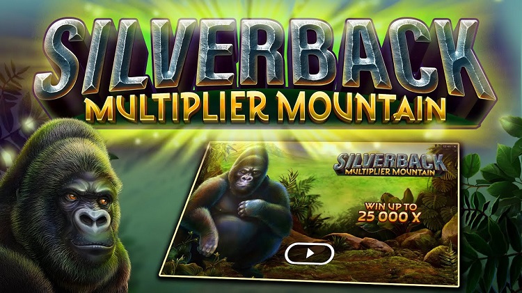 silverback-multiplier-mountain-112